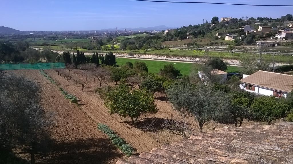 La Casita Villa Manacor  Eksteriør bilde