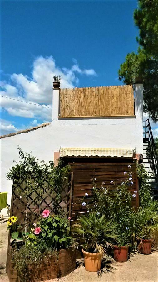 La Casita Villa Manacor  Eksteriør bilde